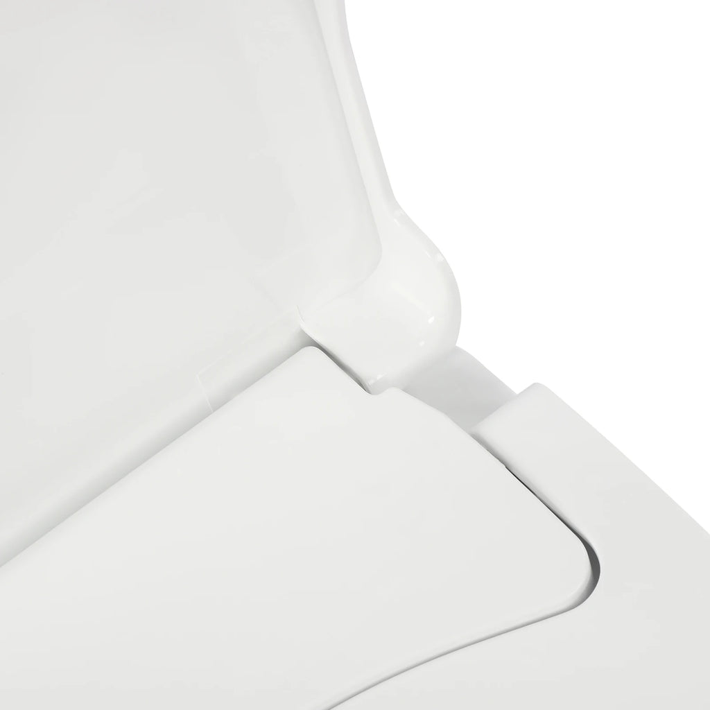 Non-Electric Bidet Toilet Seat