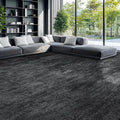 Area Rugs for Living Room Stain Resistant Non Slip